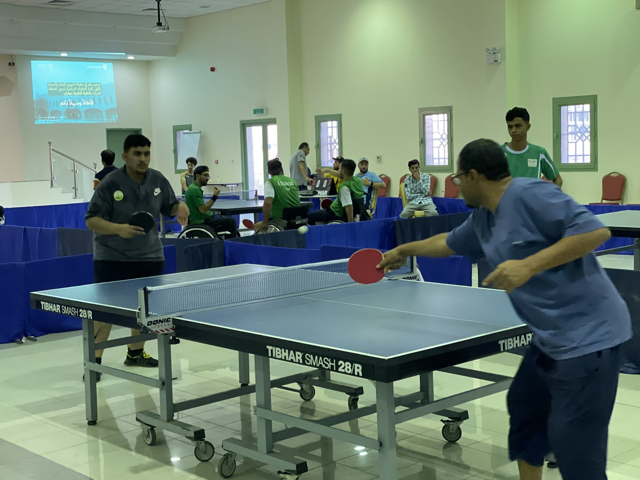 كرة الطاولة